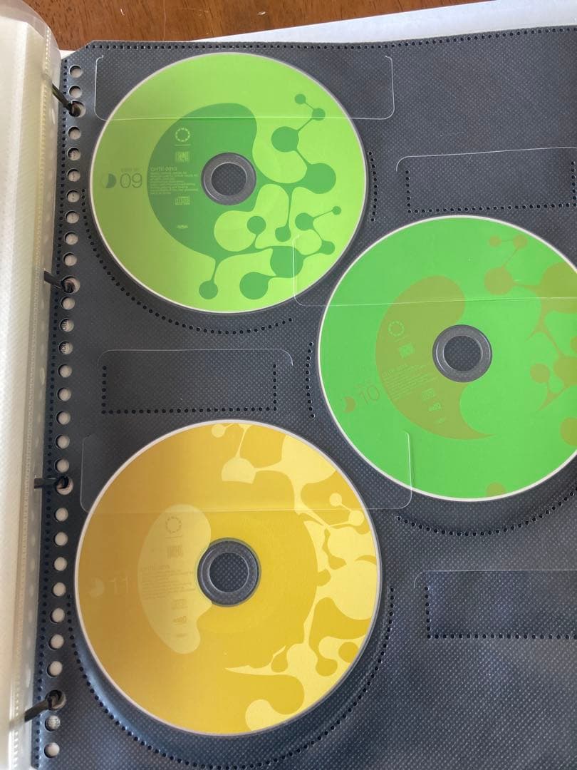 太陽系亞種音 P-MODEL ファンクラブ特典Disc00付　平沢進