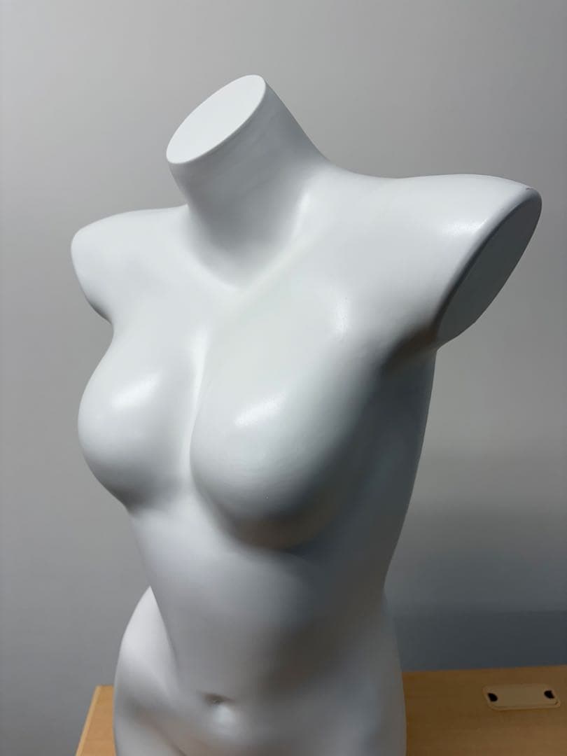 月光仮面【引き取り限定【美品】ホワイト女性用ボディマネキン トルソー