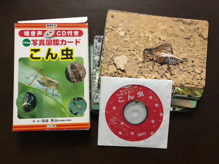 くもん 写真図鑑カード こん虫、野鳥