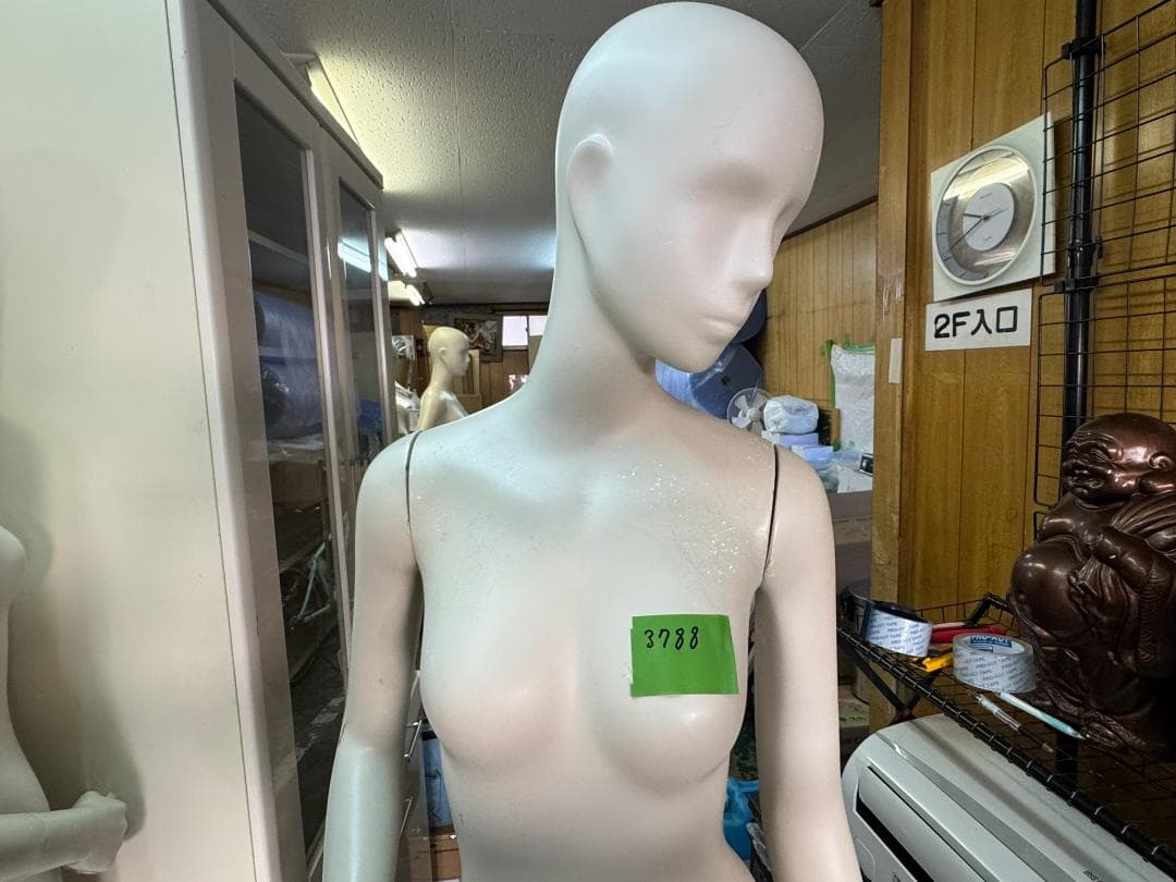 (3978W1)*株式会社パールマネキン レディースマネキン全身