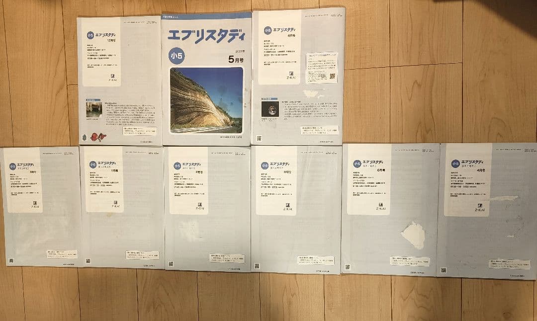 Z会 エブリスタディ 小5 1年分 4教科 ハイレベル 2023年度＋おまけ