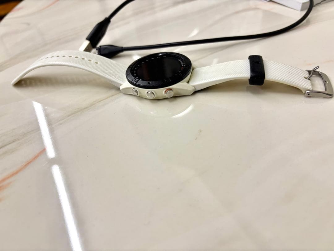 GARMIN APPROACH S60 ホワイト