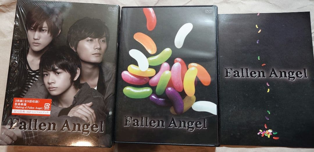 TVドラマ Fallen Angel DVD
