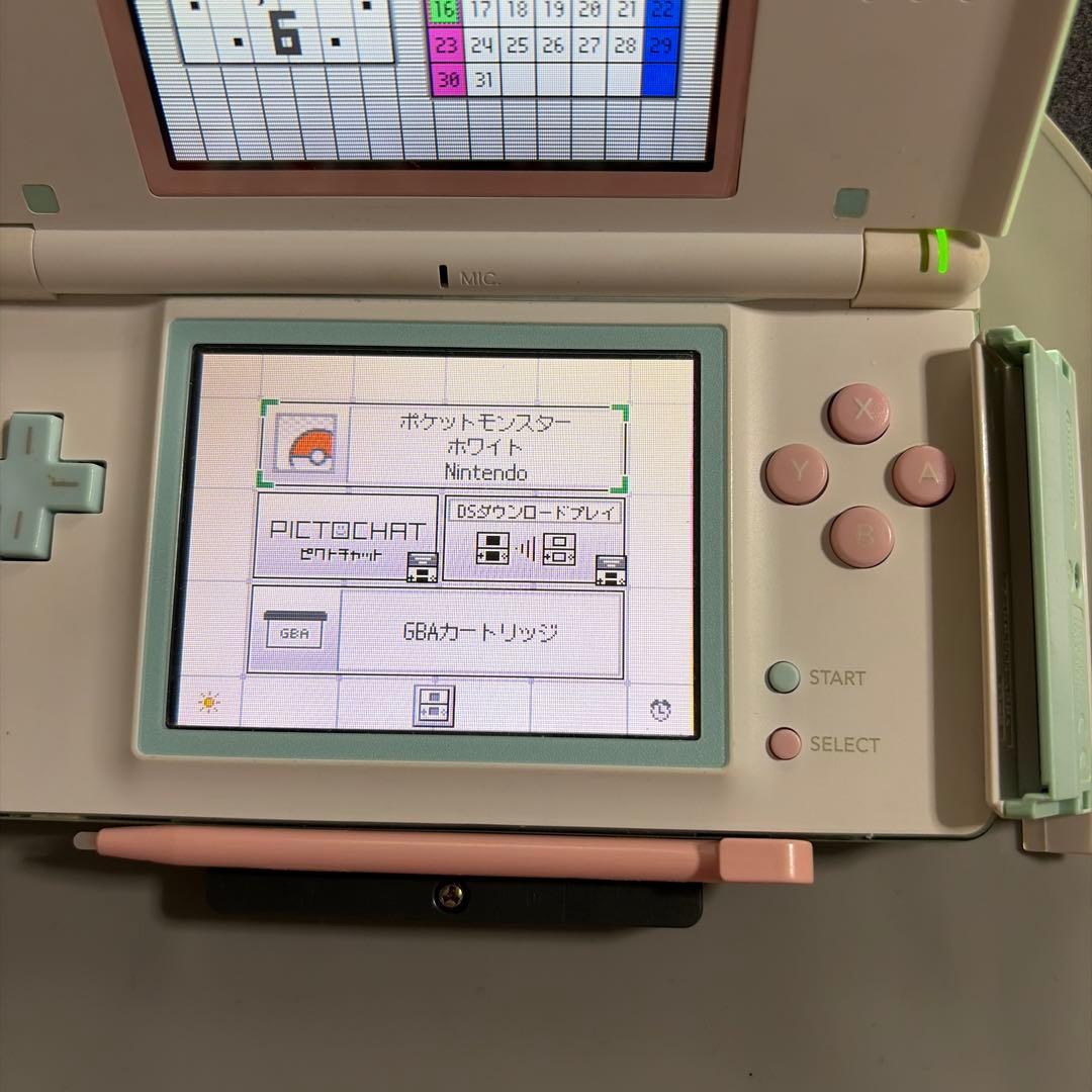 任天堂DSライト ds lite カスタムシェル オリジナル㉟