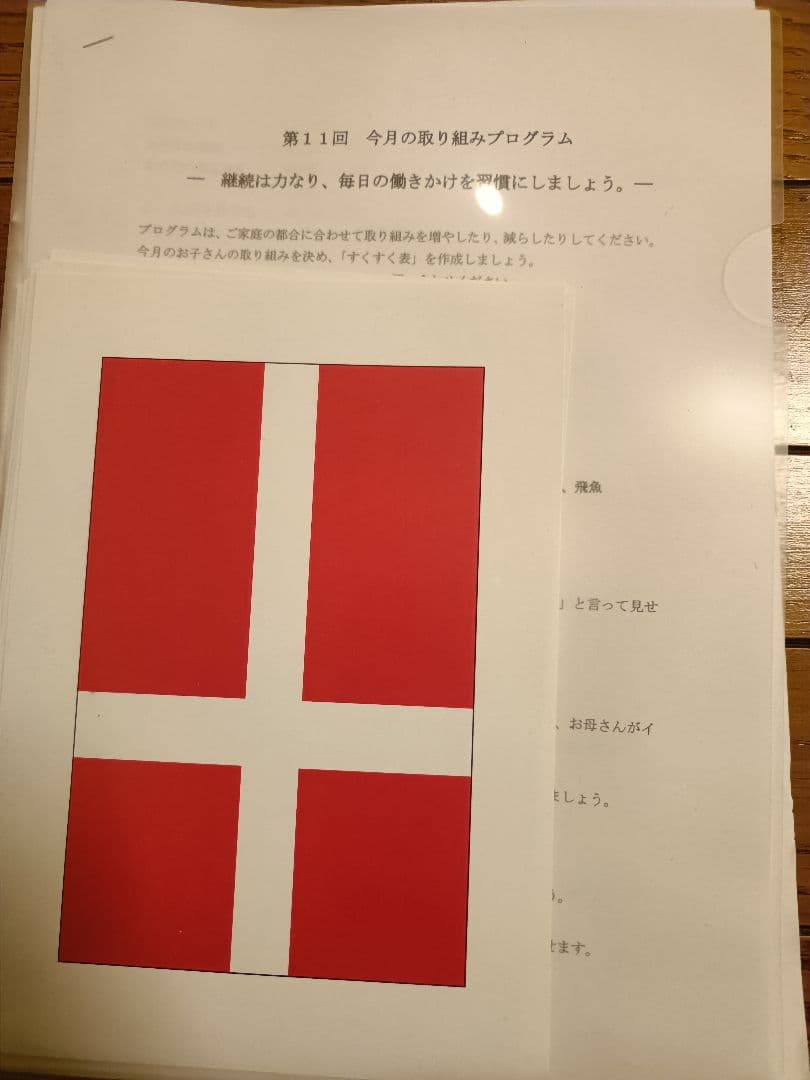 「楽しい育児クラブ」ドッツカード・フラッシュカード（浜学園に入る前に使用）