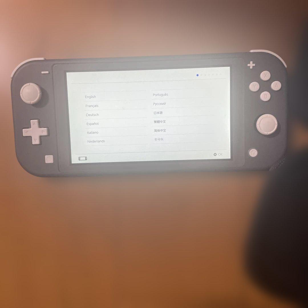 Nintendo Switch Lite グレー 本体ケース付き
