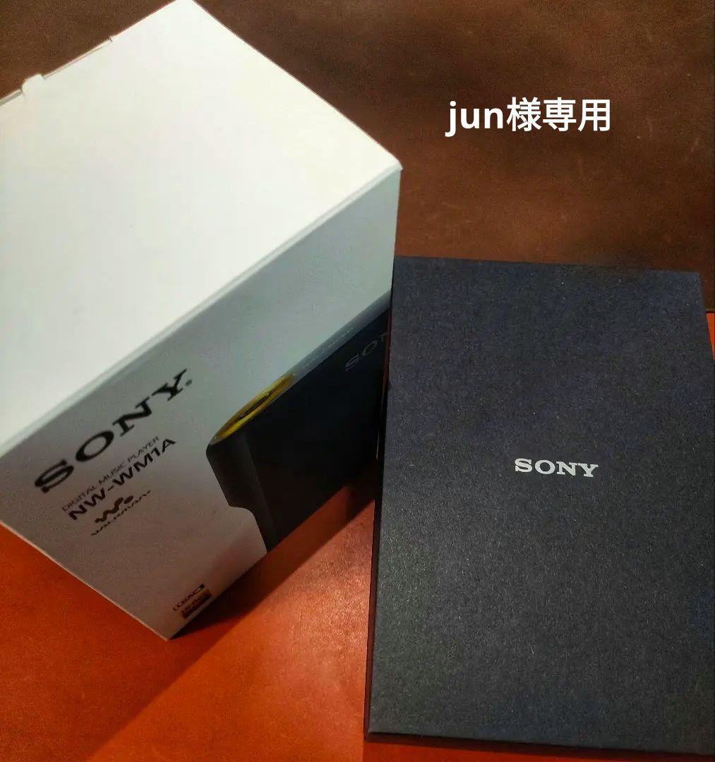SONY ウォークマン NW-WM1A