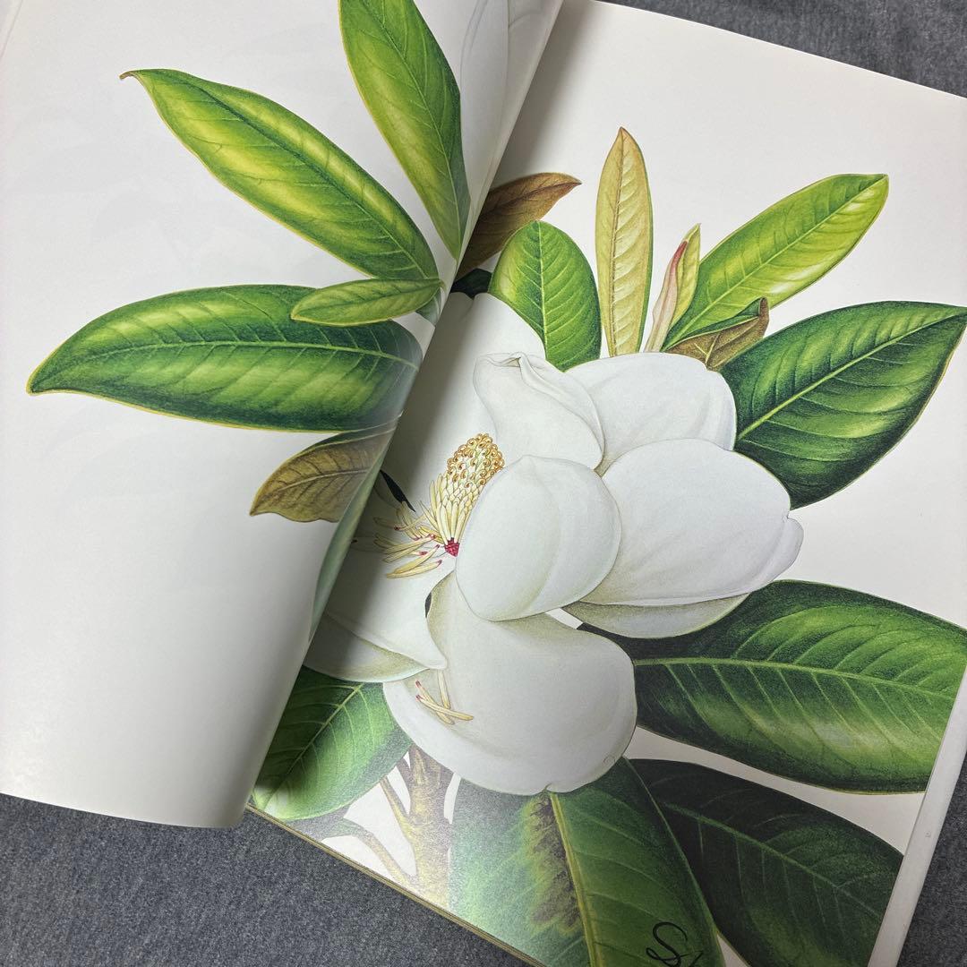 BOTANICAL ART KAHO SAWADA 大型本　定価1万2000円
