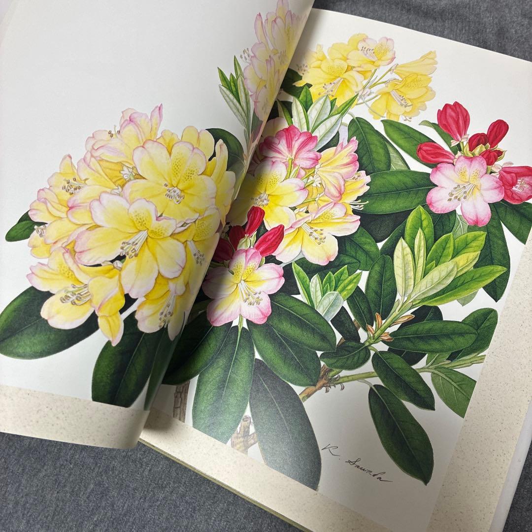 BOTANICAL ART KAHO SAWADA 大型本　定価1万2000円