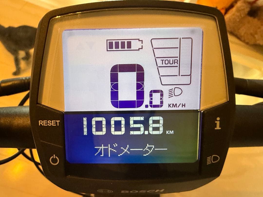 Trek Verve+ 2 Lowstep xs 配送も対応します