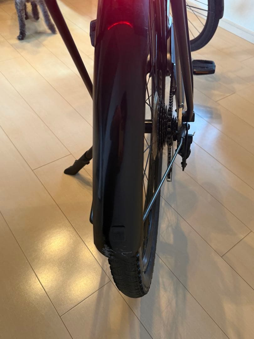 Trek Verve+ 2 Lowstep xs 配送も対応します