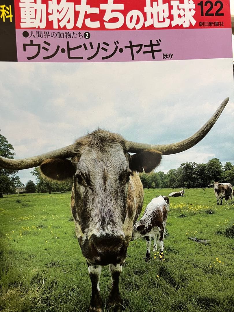 週間朝日百科　動物たちの地球 1〜144