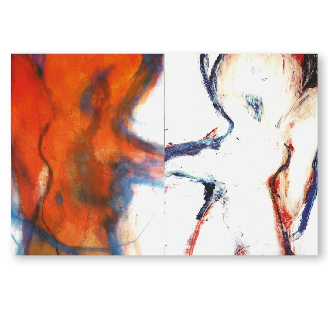絶版‼️ Rita Ackermann 作品集