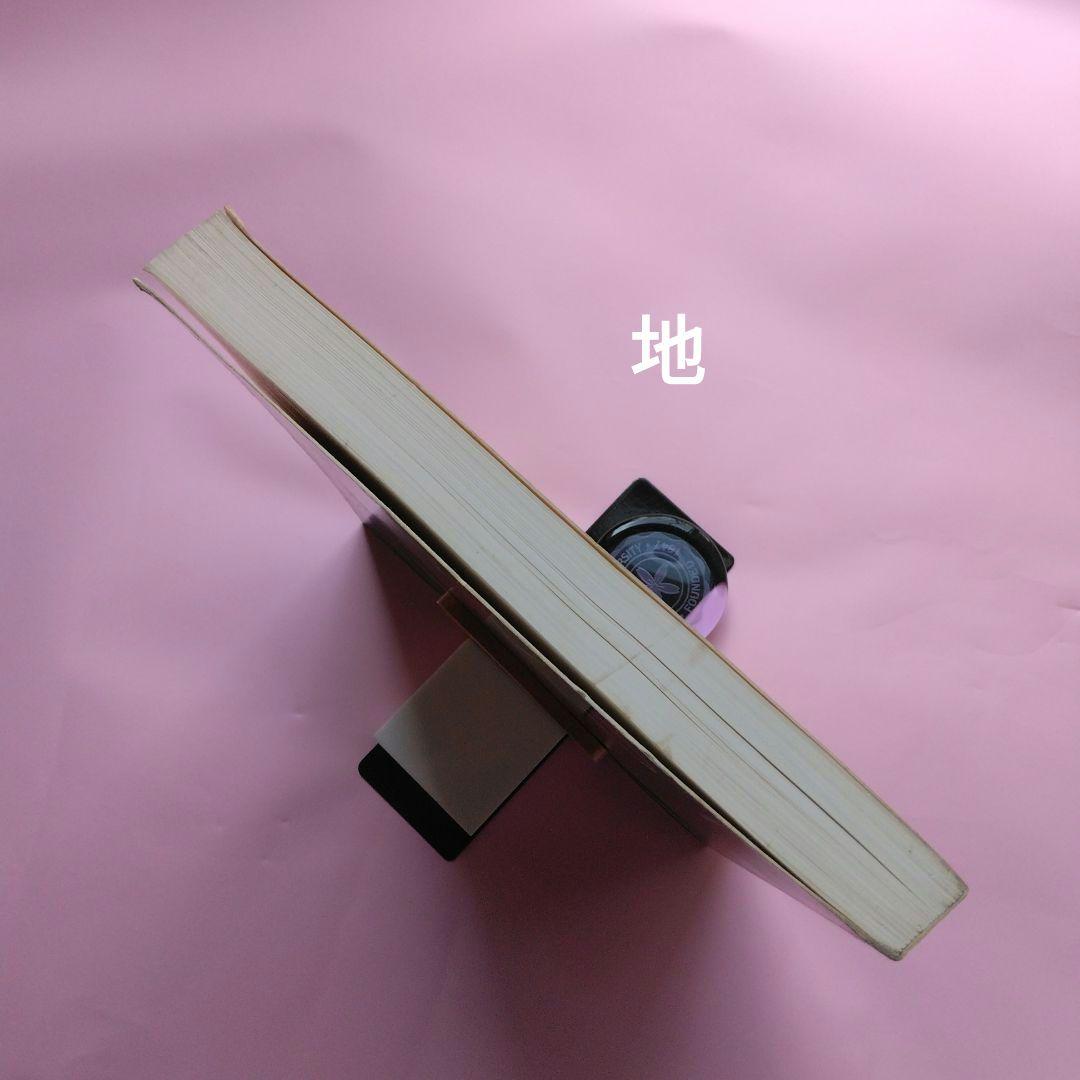 大型本 ピカソ展カタログ（独語) パステル画 鉛筆画 水彩画 デュッセルドルフ