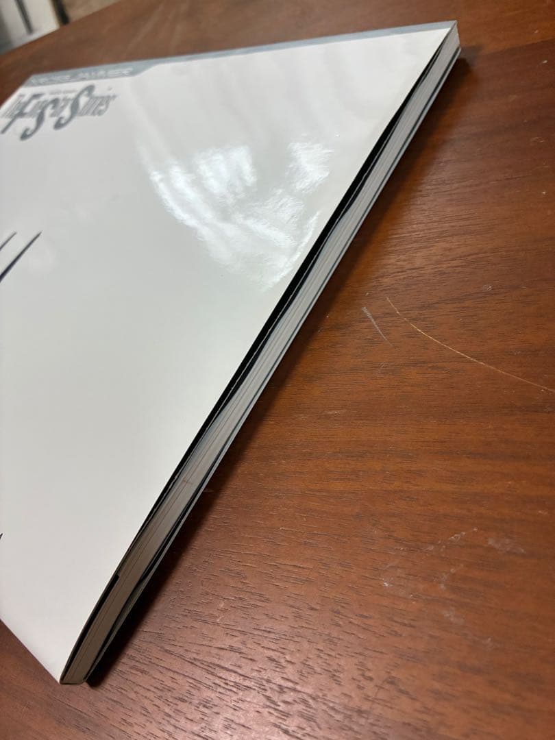 （参考用）ファイブスター物語デザインズ