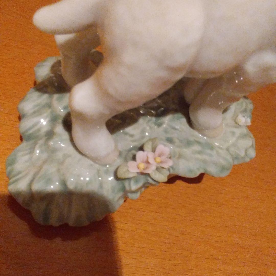 リヤドロー羊