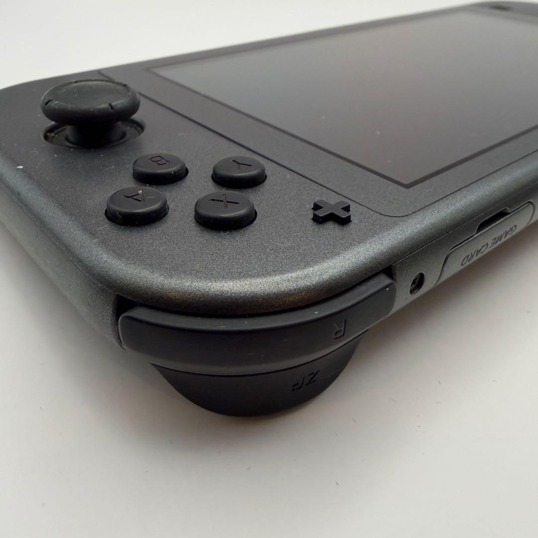 ニンテンドースイッチライト　ディアルガ・パルキア