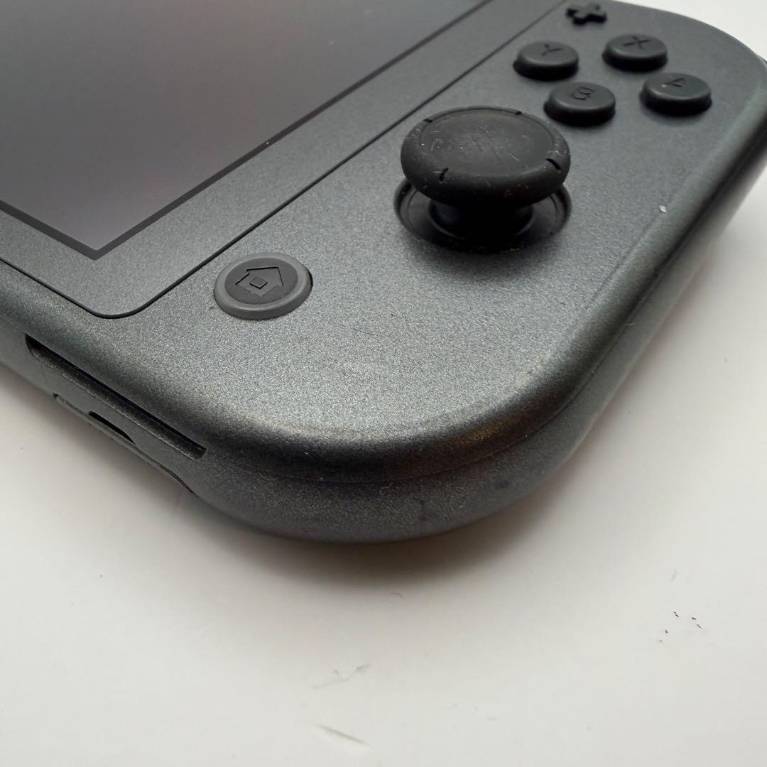 ニンテンドースイッチライト　ディアルガ・パルキア