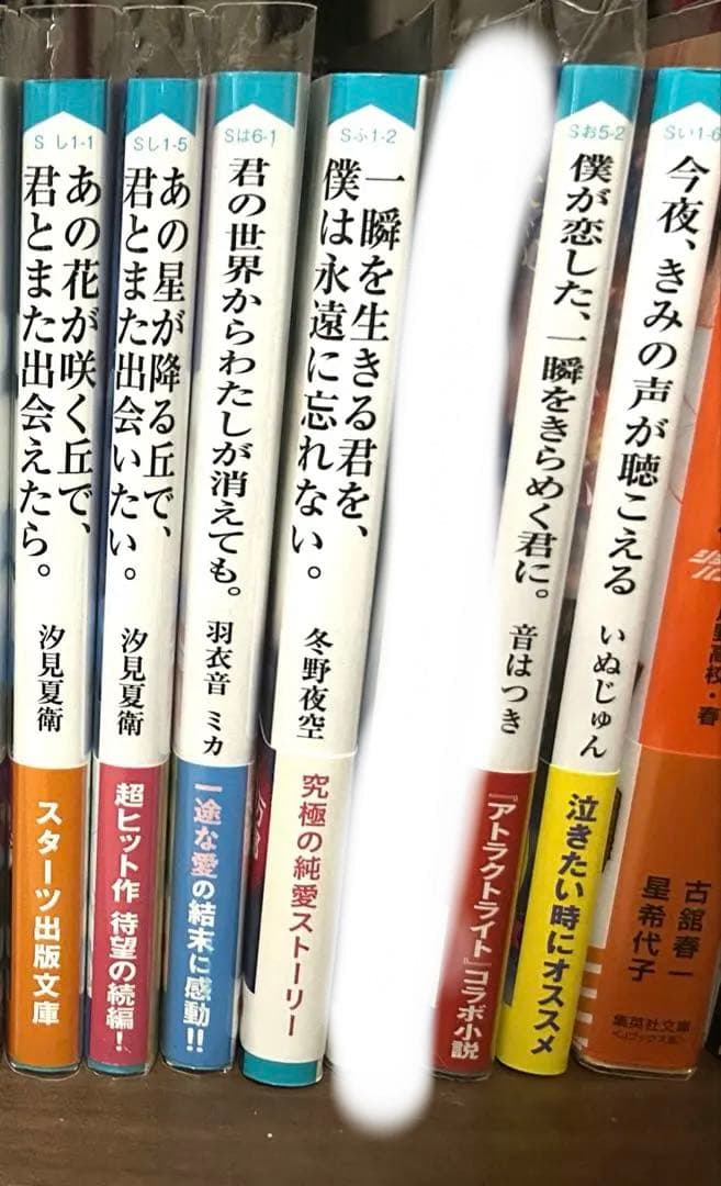 小説 まとめ売り18冊