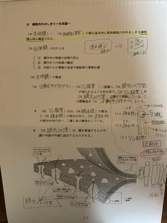 生物　ノート
