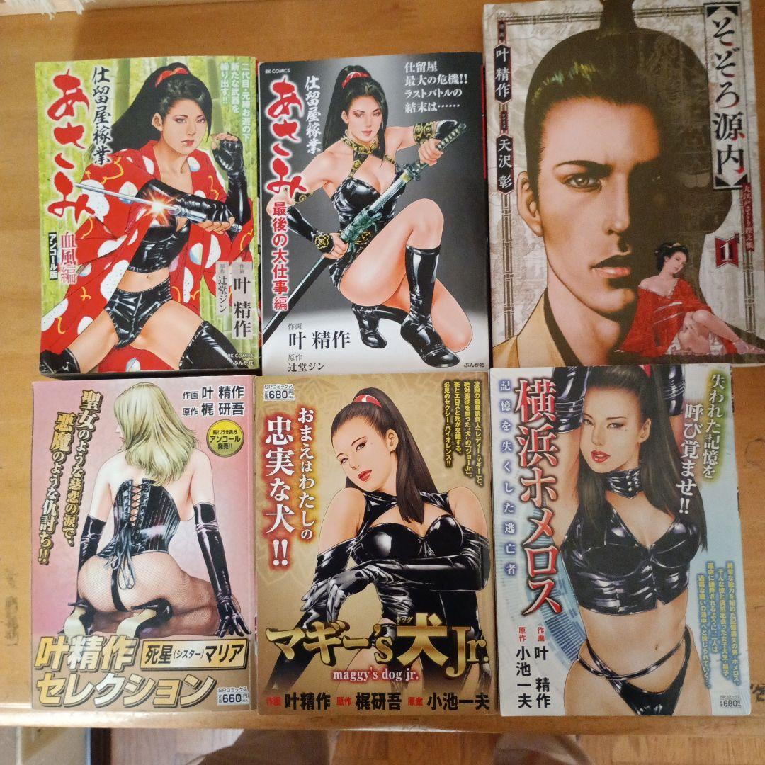 叶精作。あさみ、死星マリア、横浜ホメロス、マギーS犬Jŕ、魔物語、他合計30冊