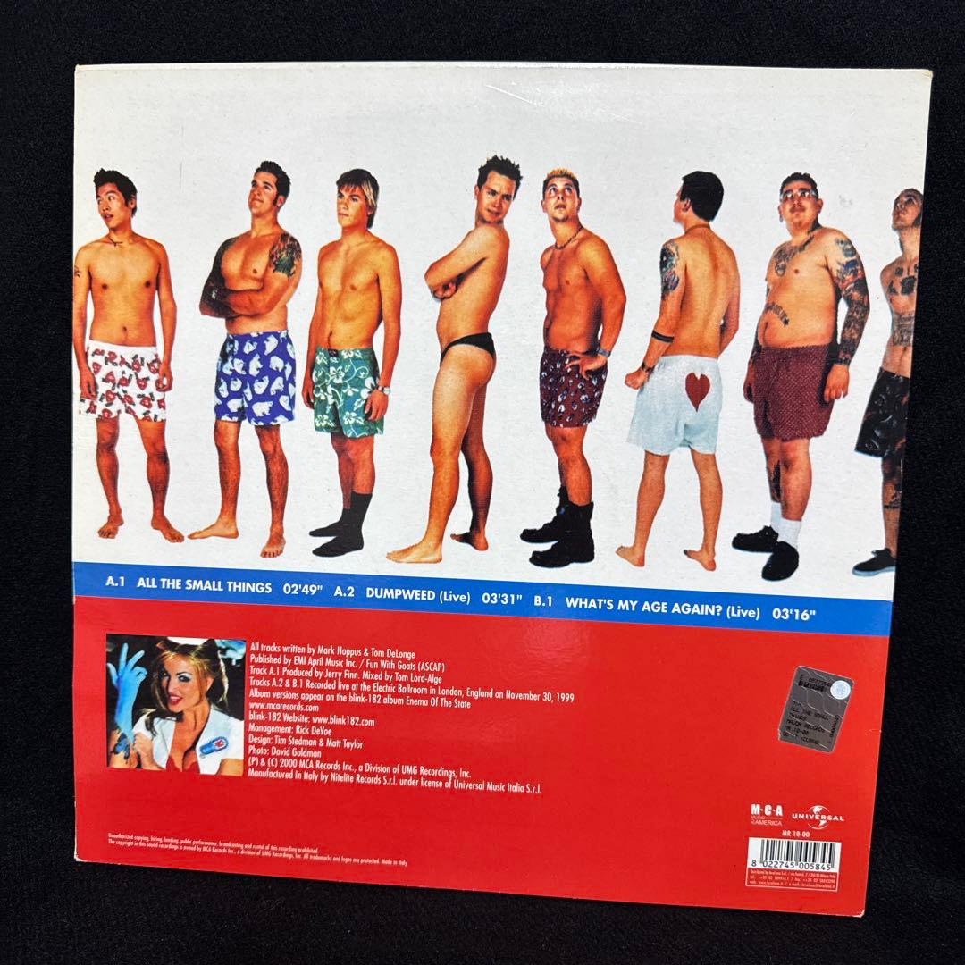 blink-182 All the Small Things レコード