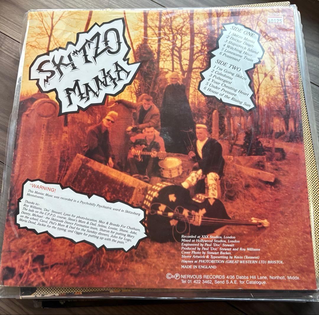 SKITZO MANIA アナログレコード
