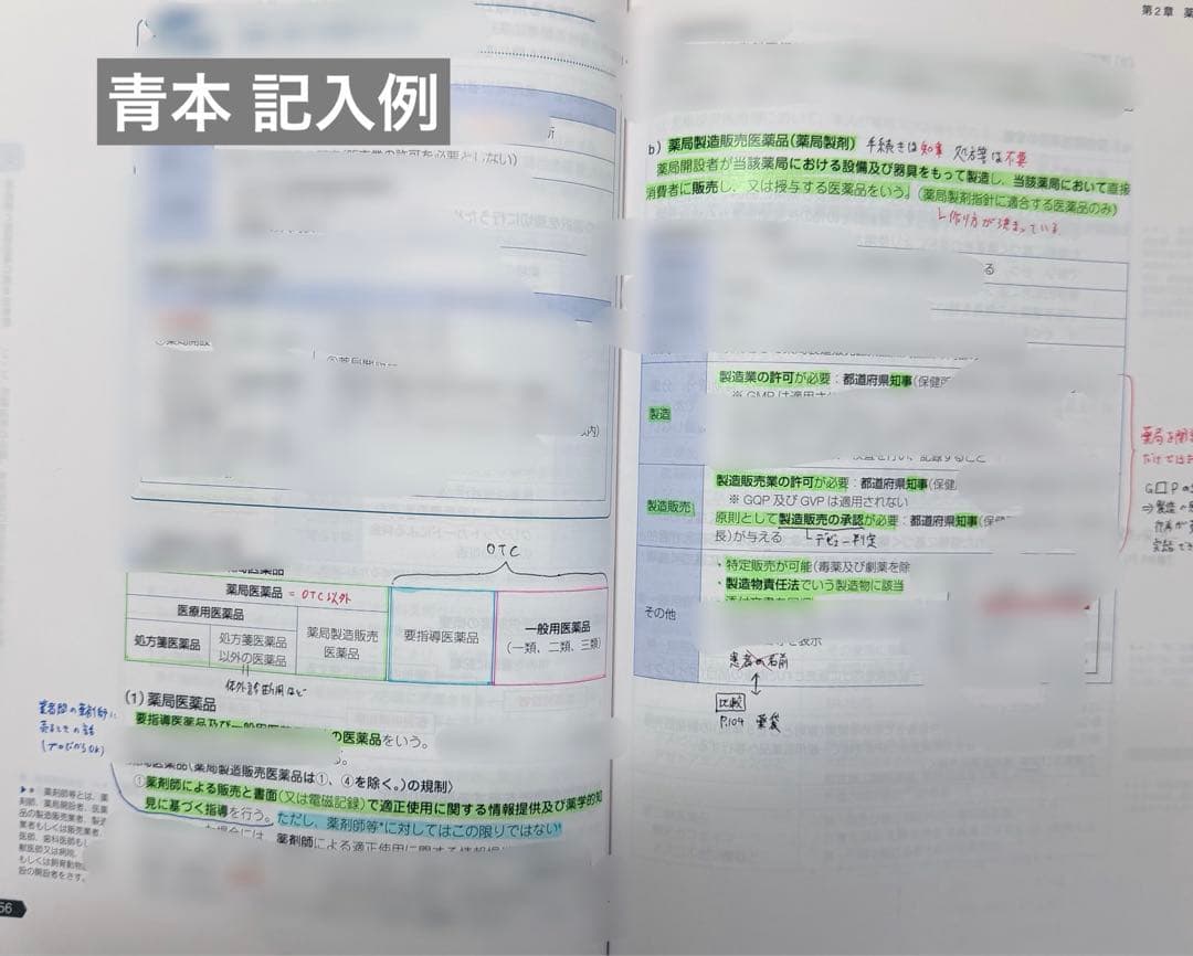第111回 薬剤師国家試験対策セット 青本・青問・白問 まとめ売り