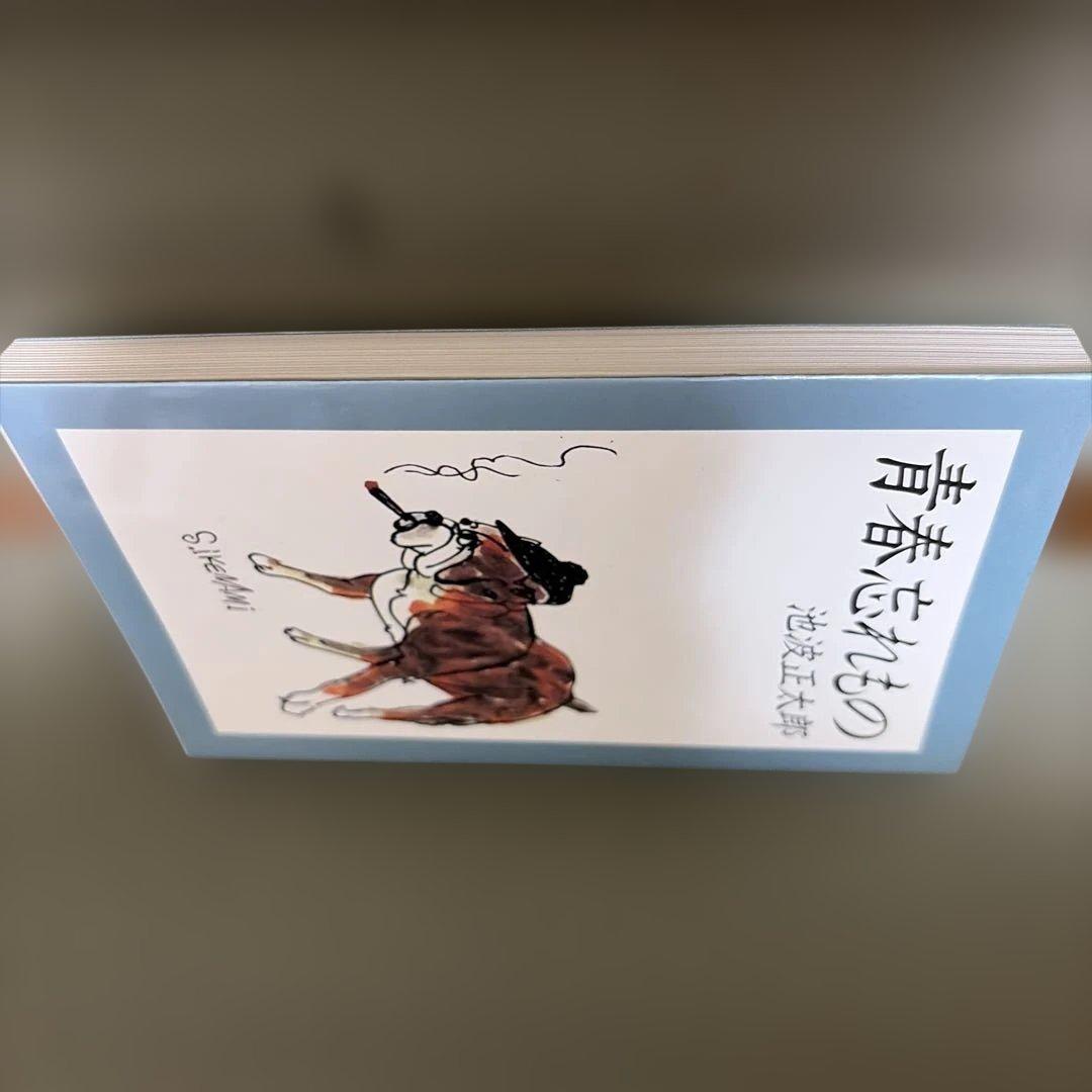 青春忘れもの