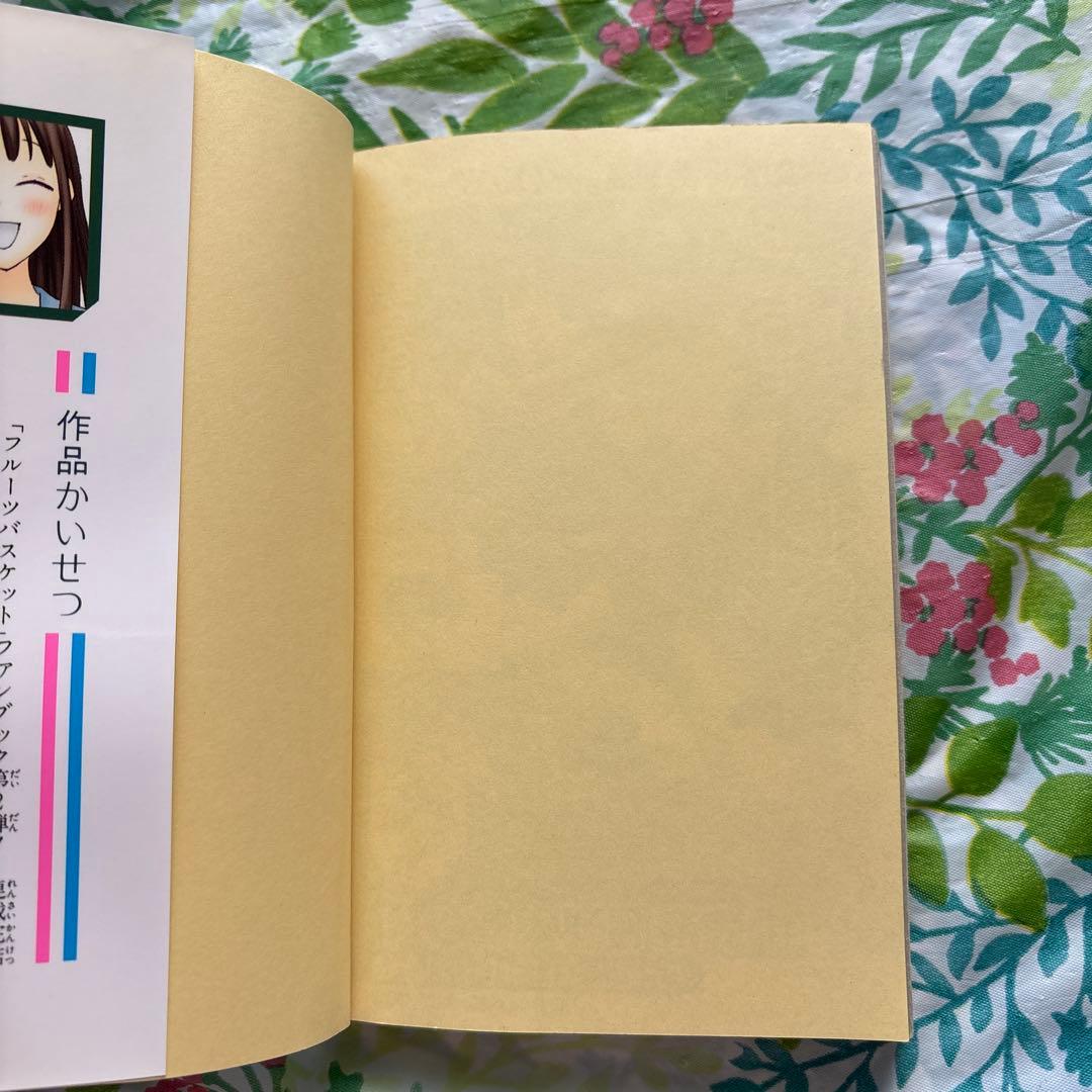 【絶版・全巻初版本】フルーツバスケット ファンブック[猫]［宴］２冊セット