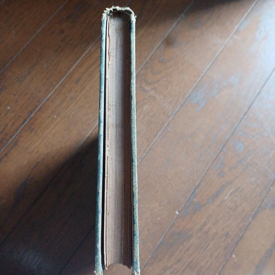 泉鏡花　無憂樹　明治39年　日高有倫堂