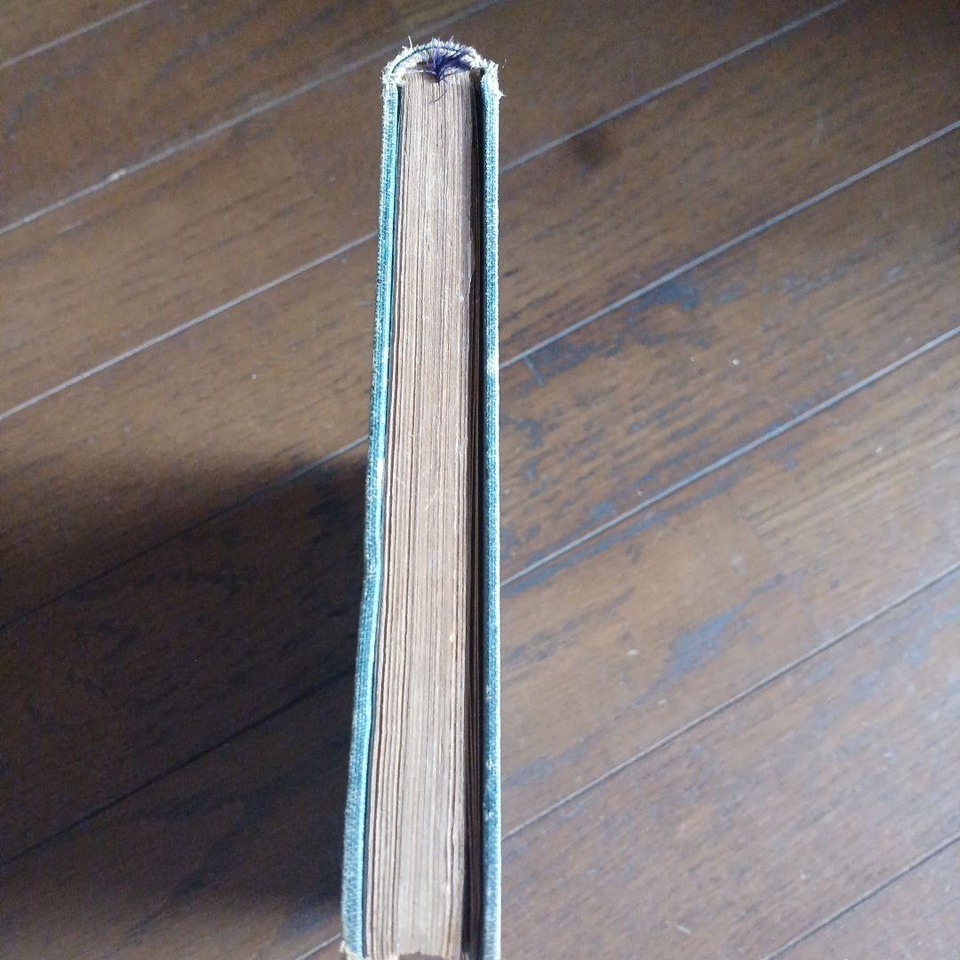 泉鏡花　無憂樹　明治39年　日高有倫堂