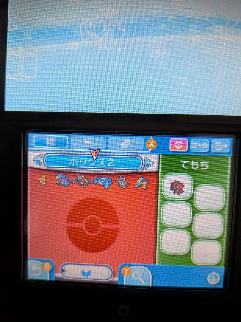 サン 配信ポケモン