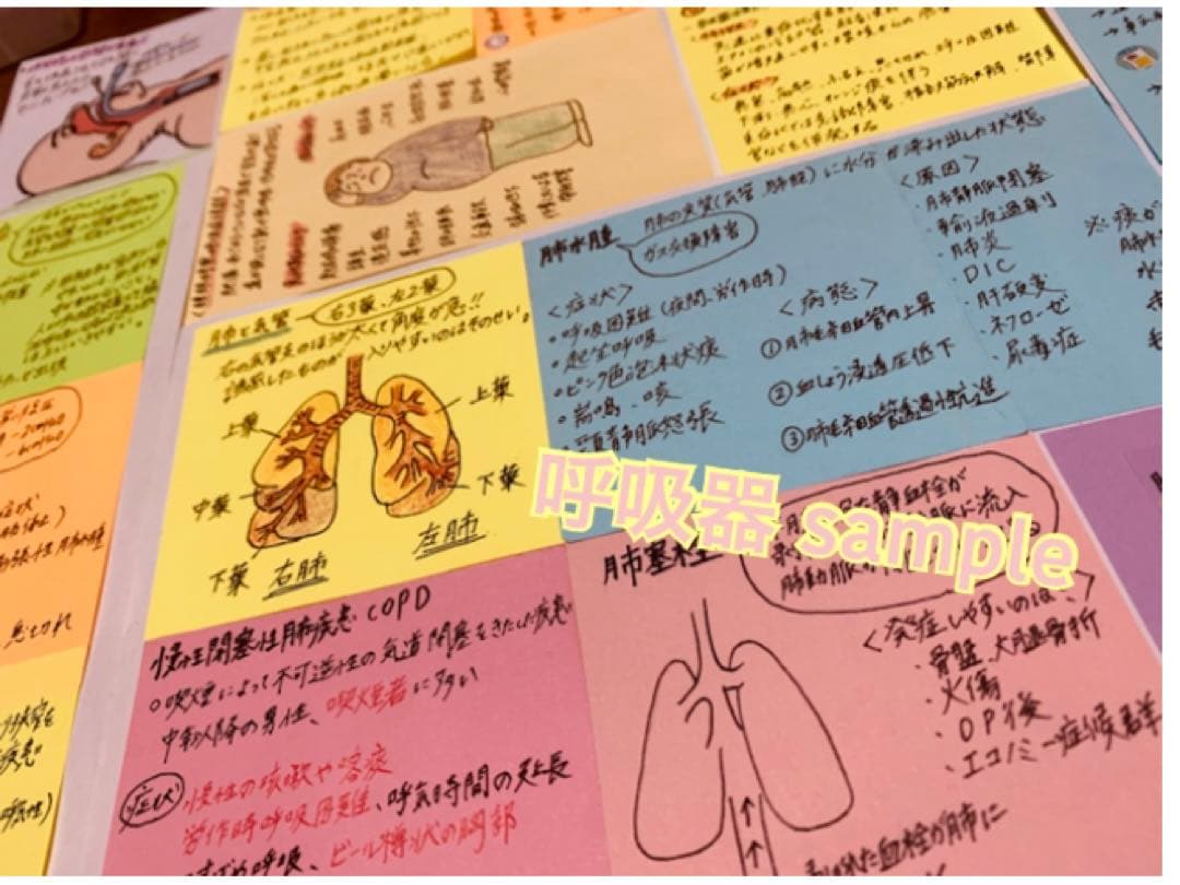 まとめ価格！看護師国家試験対策 大量付箋 暗記カード 解剖生理学 付箋ノート