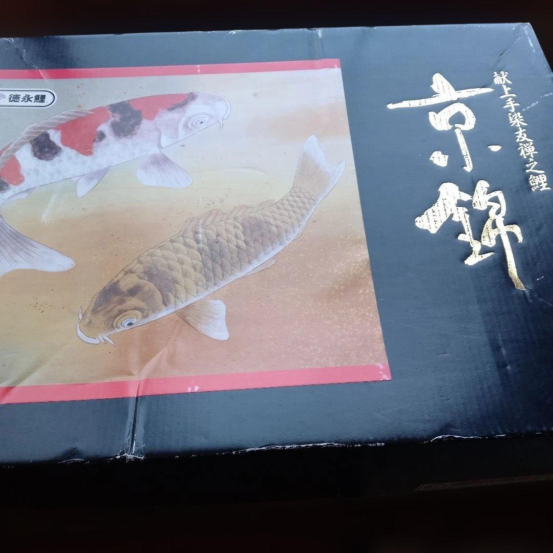徳永鯉　こいのぼり　5㍍セット+2㍍