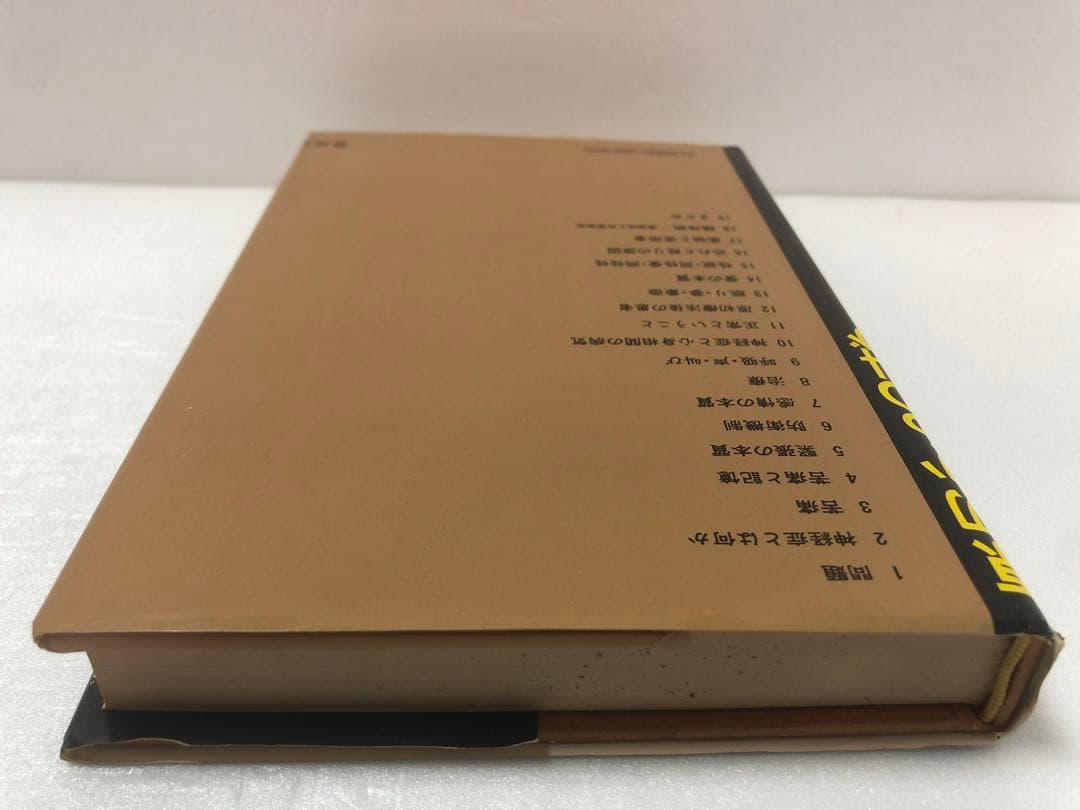 【初版】原初からの叫び―抑圧された心のための原初理論