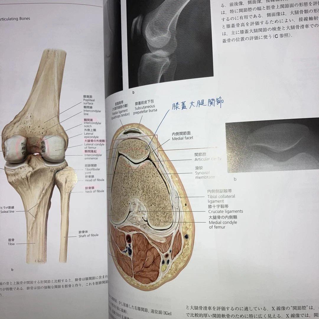 プロメテウス解剖学　　アトラス頭頸部/神経解剖解剖学総論/運動器系　　第3版2冊
