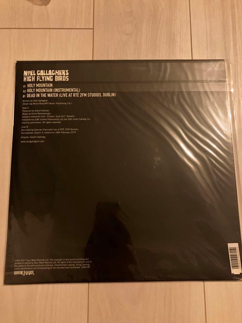 新品 holy mountain カラーレコード noel oasis