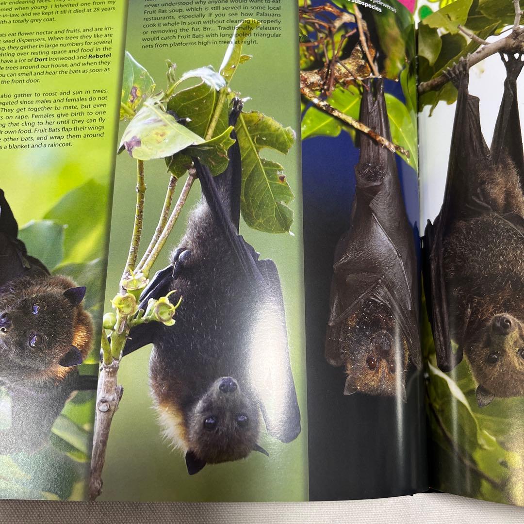 新品未使用希少パラオ共和国の生き物魚達の図鑑大型写真集