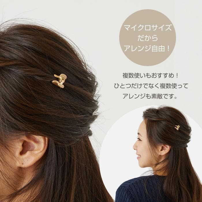 未使用 ★ ALEXANDRE DE PARIS クリップ マイクロ２個セット