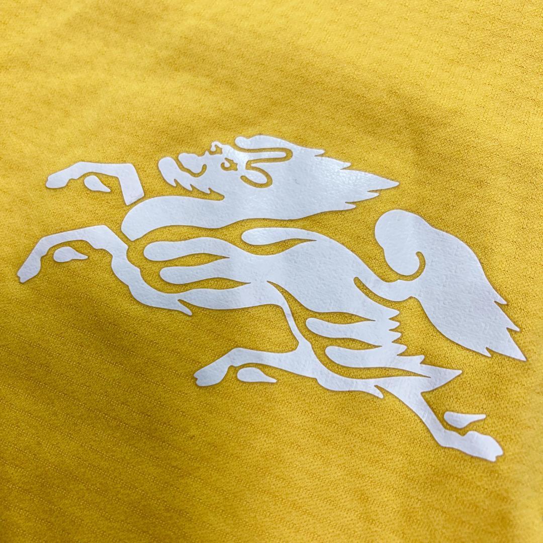 日本代表　adidas トレーニングウェア　Lサイズ　kirin　完売品