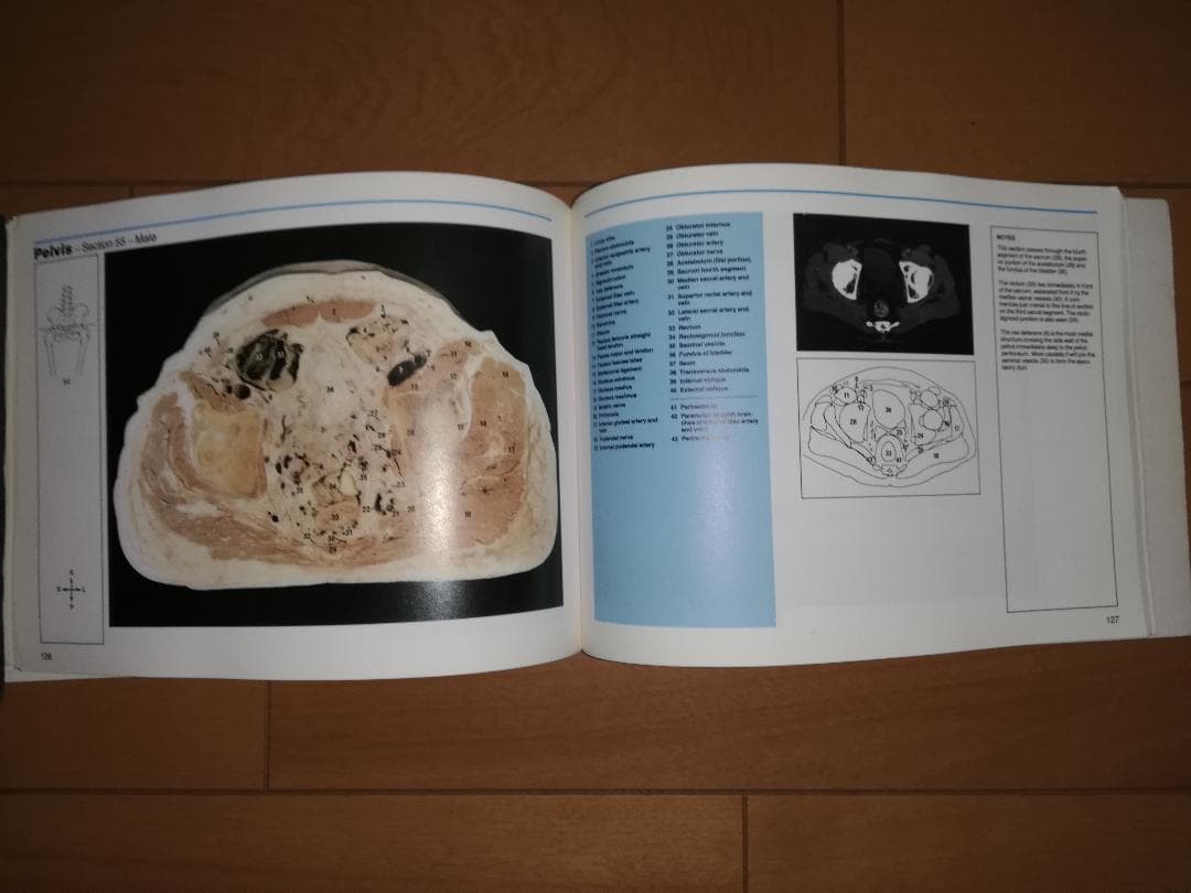 解剖学書籍 HUMAN CROSS-SECTIONAL ANATOMY 値下げ