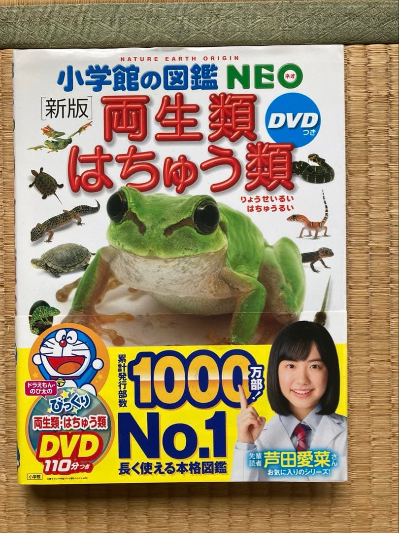 小学館の図鑑NEO 全9冊 DVD付き