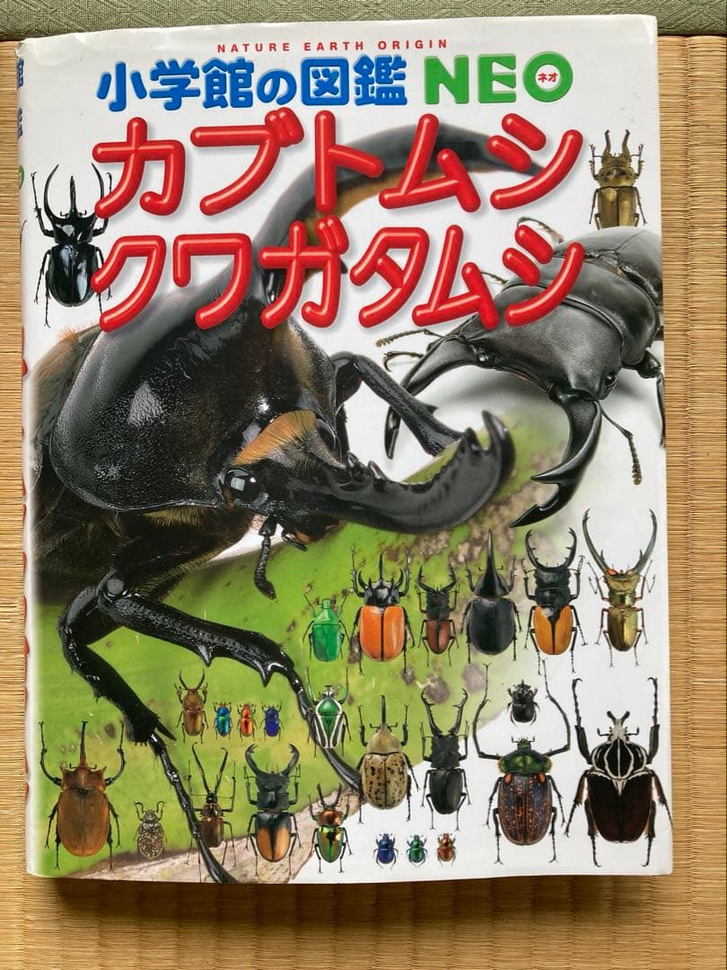 小学館の図鑑NEO 全9冊 DVD付き