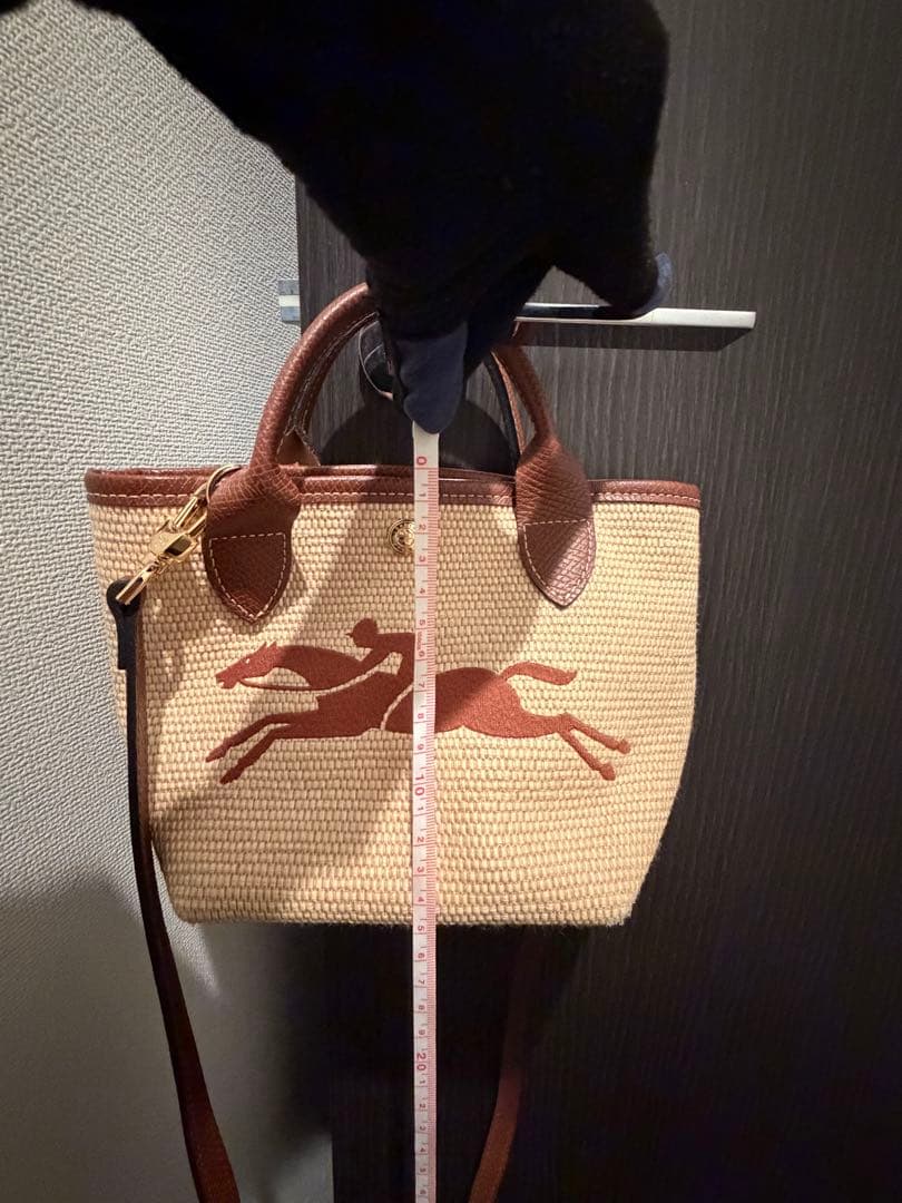 Long champ ロンシャン かごバック