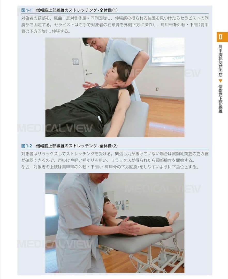 新品★機能解剖学的ストレッチング★上肢　下肢・体幹セット★配送無料