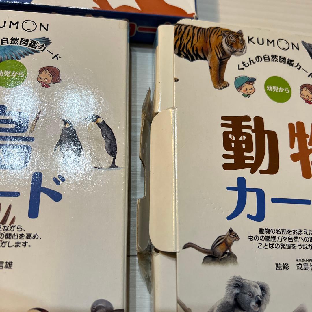 KUMON図鑑カード8＋かずカード1＋七田式1
