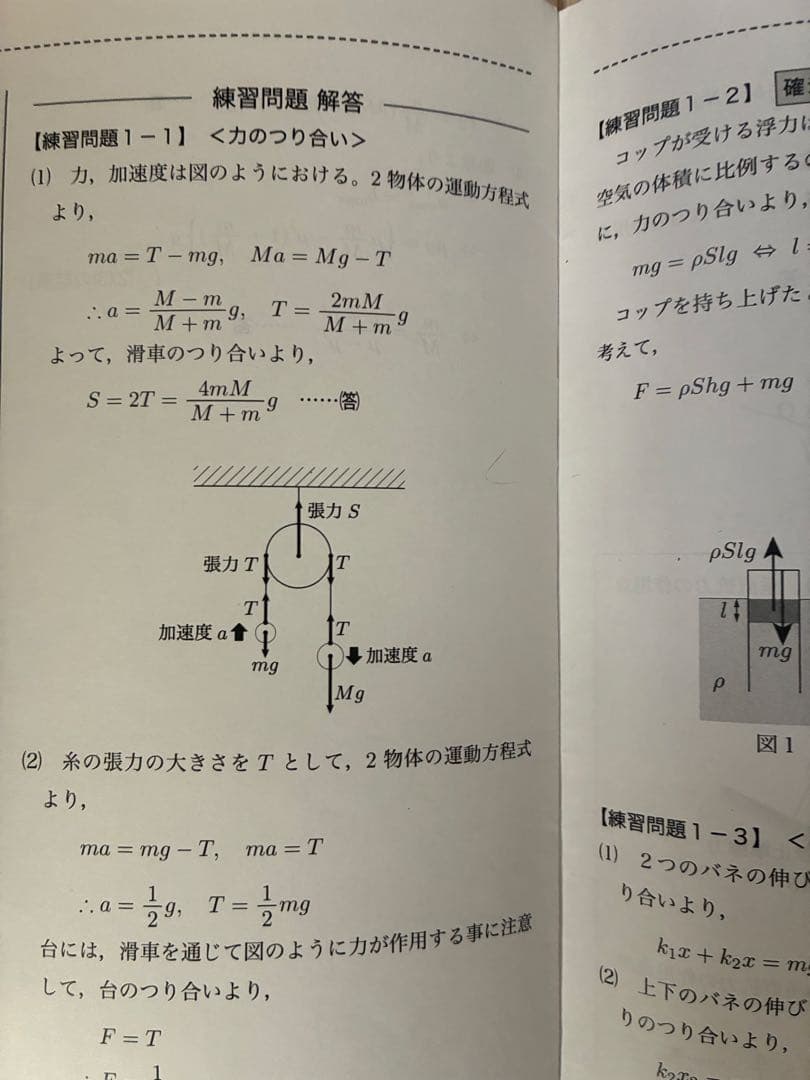 高3物理発展講座　授業冊子　総復習テスト付き