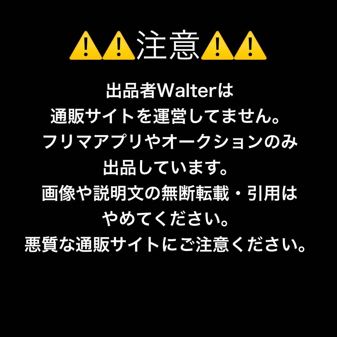 パイロットウイングス Pilotwings レコード レア盤