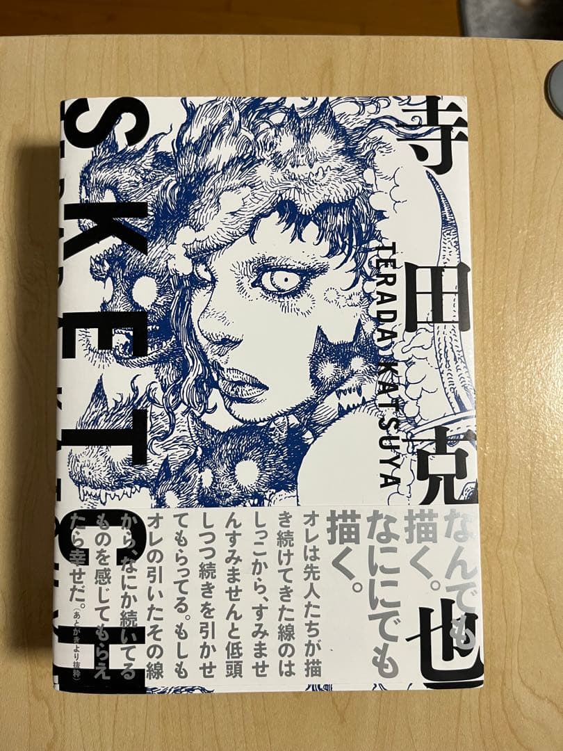 寺田克也 4冊まとめ売りDOMINATRIX HEAVEN アートブック